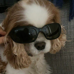 Meet your Posher, Michal